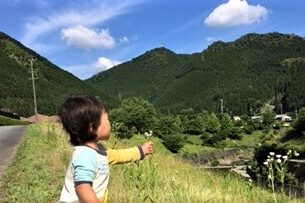 収穫や敷地内でのお茶摘み、山菜採り