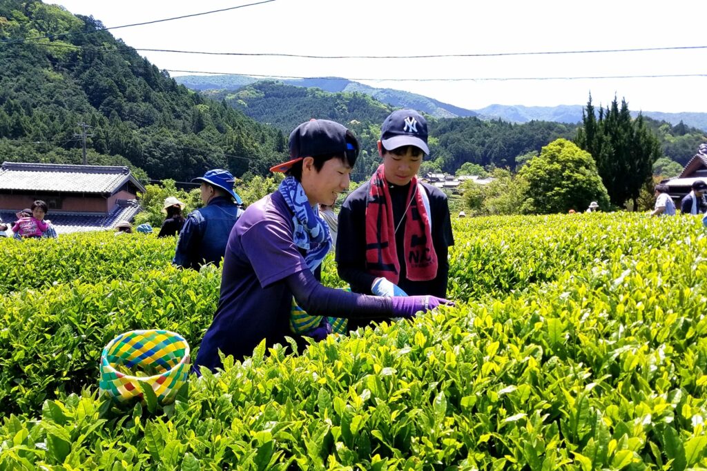 四季折々の田舎の里山の暮らし