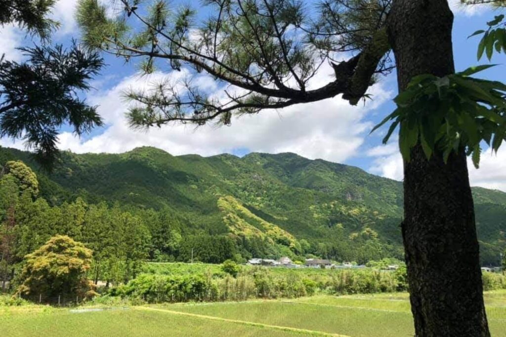 のどかな田園風景