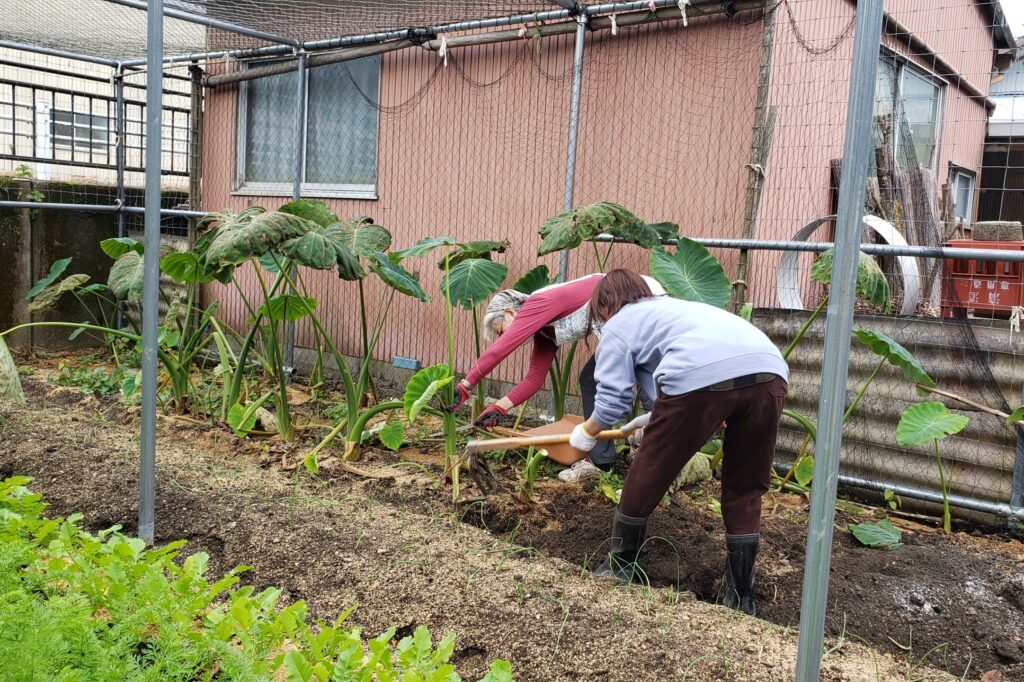 田舎の素朴なお料理