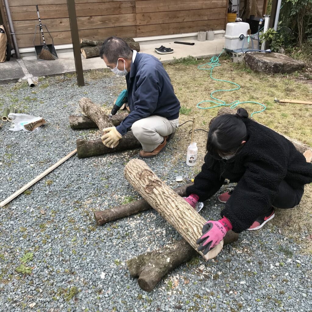 果実や野菜で料理作り